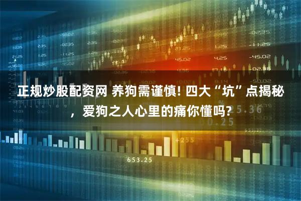 正规炒股配资网 养狗需谨慎! 四大“坑”点揭秘，爱狗之人心里的痛你懂吗?