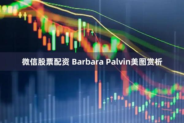 微信股票配资 Barbara Palvin美图赏析