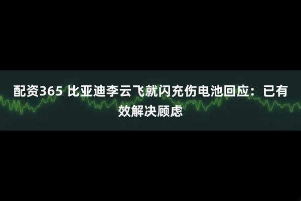 配资365 比亚迪李云飞就闪充伤电池回应：已有效解决顾虑