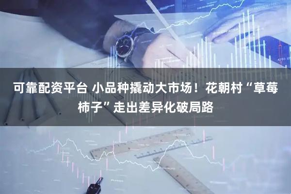 可靠配资平台 小品种撬动大市场！花朝村“草莓柿子”走出差异化破局路